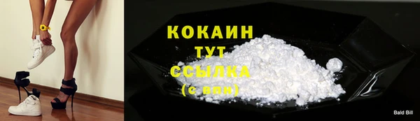 дживик Абинск